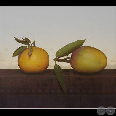 MANDARINA Y MANGO - Obra de Sebastián Díaz - Año 2005